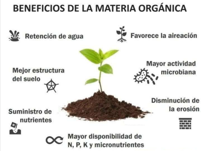 Aplicación de materia orgánica para mejorar fertilidad del suelo